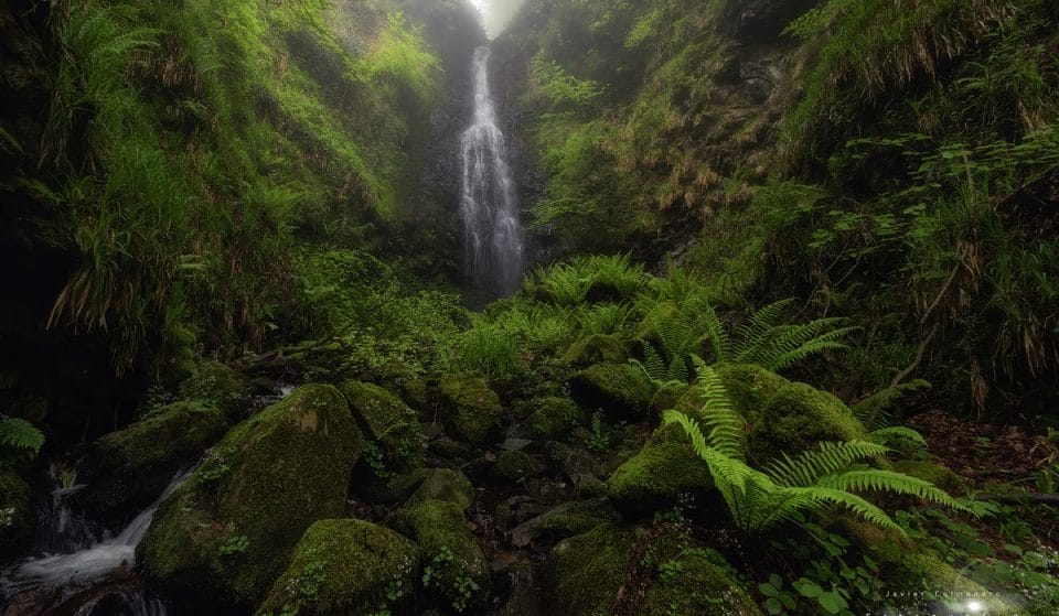 Cascada de Belaustegi: un espacio mágico en pleno Gorbeia