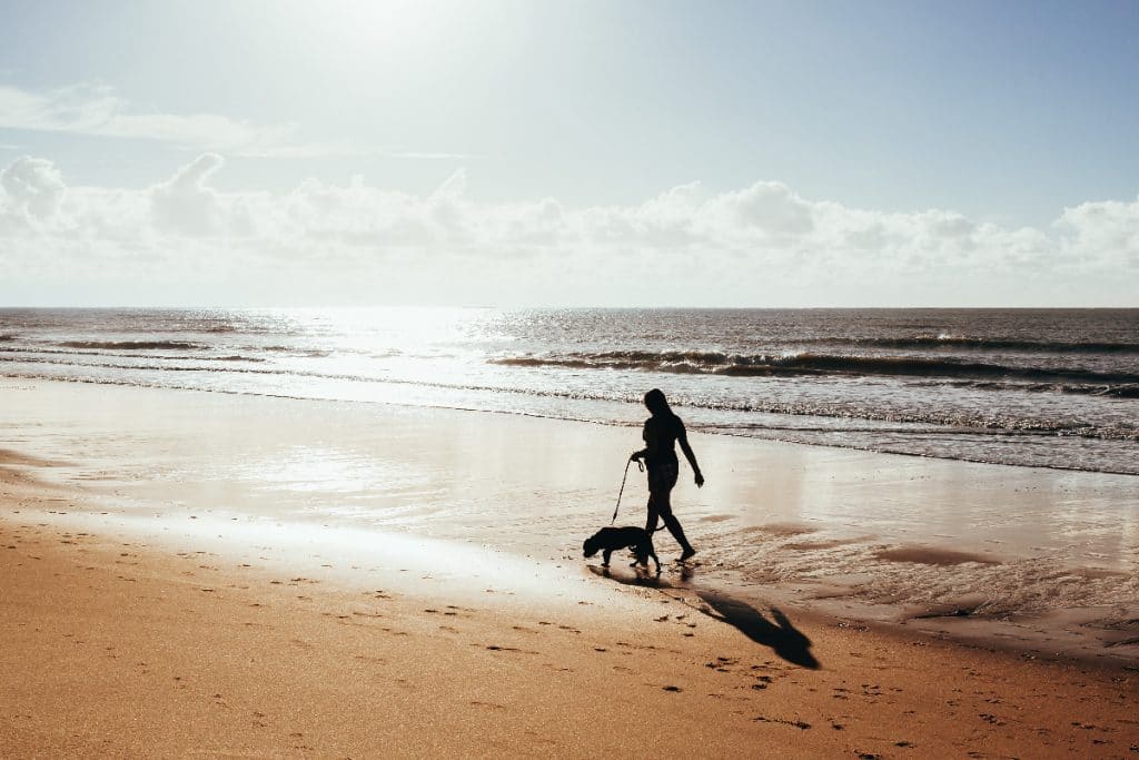 ¿A qué playas de Bizkaia puedo ir este verano con mi perro?