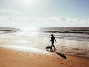 ¿Qué playas de Bizkaia permiten el acceso a los perros en verano?